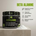 Beta Alanine — 2